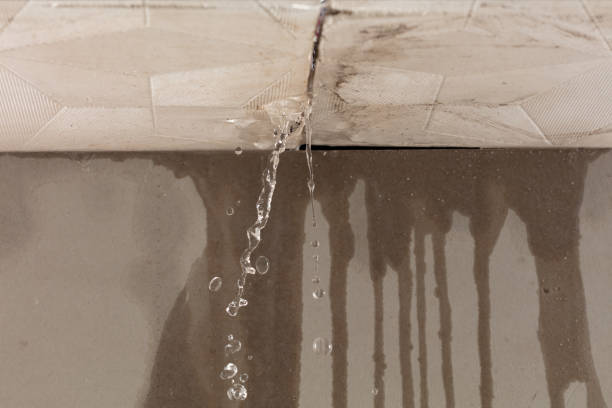 Professional Flood Damage Cleanup technician working in Rock Valley, IA
